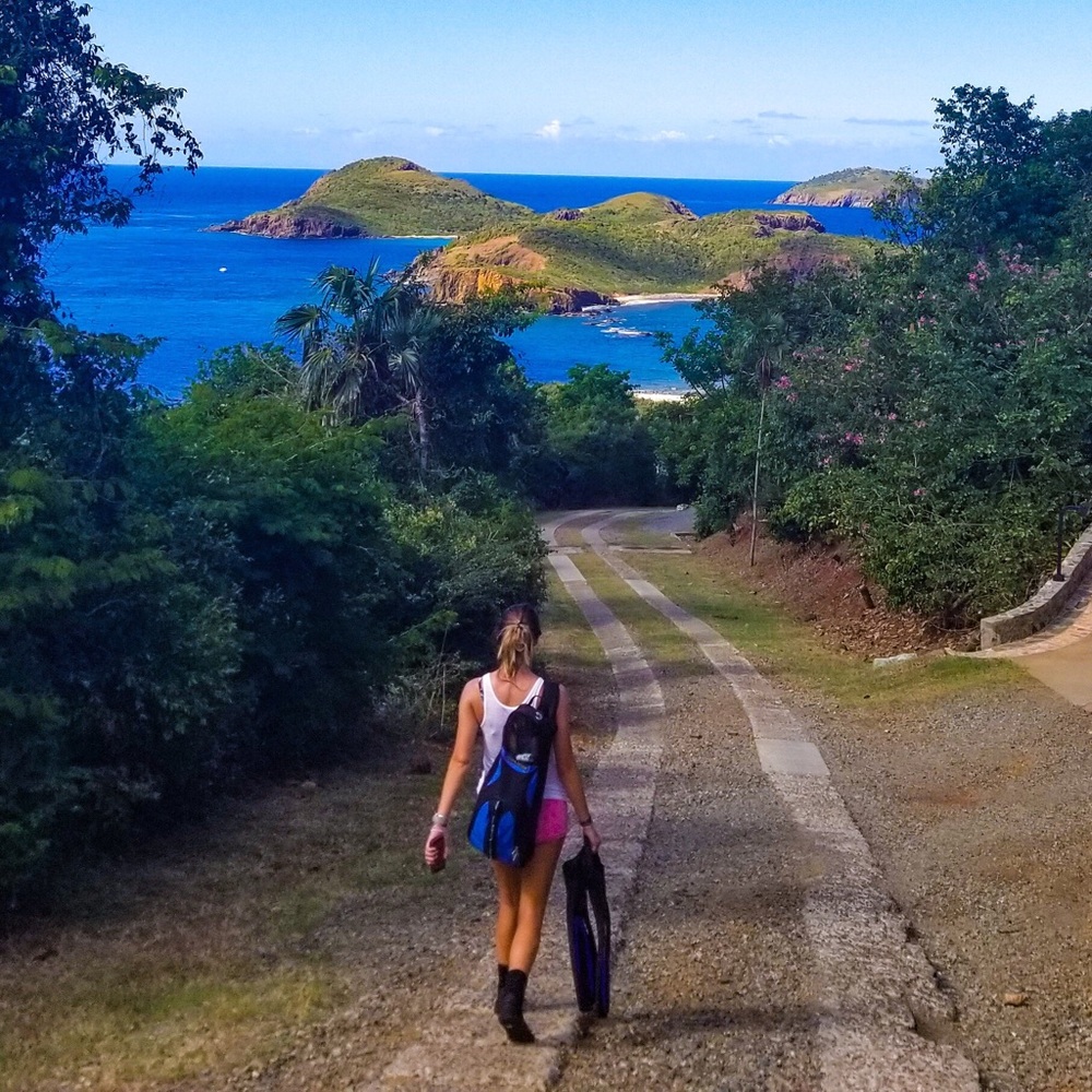 Meet your Posher, Britt